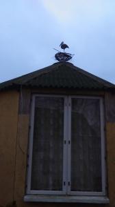 Фотография Семейный банный отдых 2