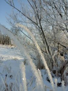 Фотография Семейный банный отдых 4